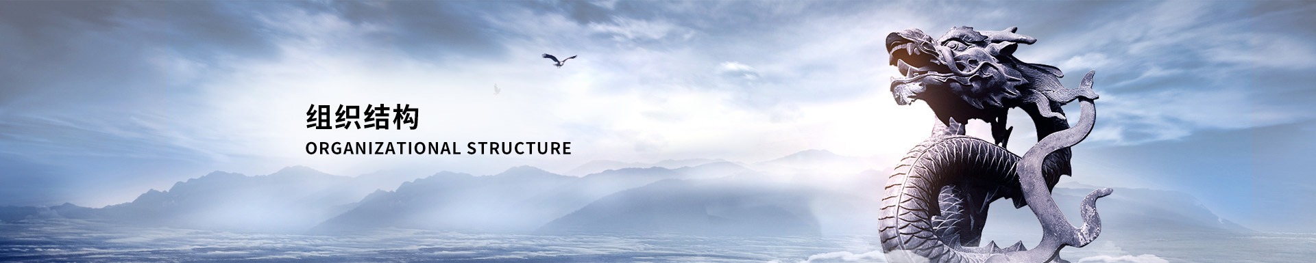 组织结构